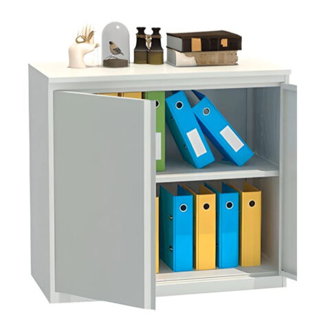 Металлический архивный шкаф ALR 8896