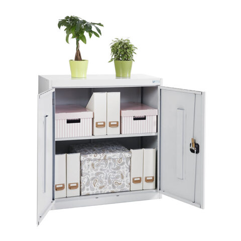 Металлический архивный шкаф ШХА/2-900 (50)